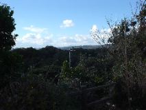 dsc00638