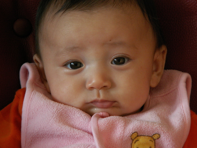 PICT0209.JPG