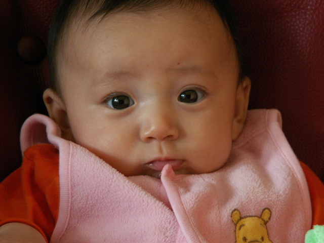 PICT0212.JPG