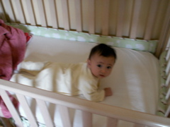 PICT0041.JPG