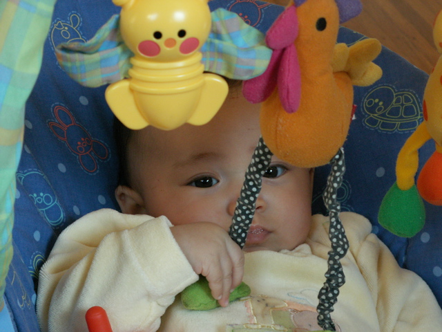 PICT0072.JPG