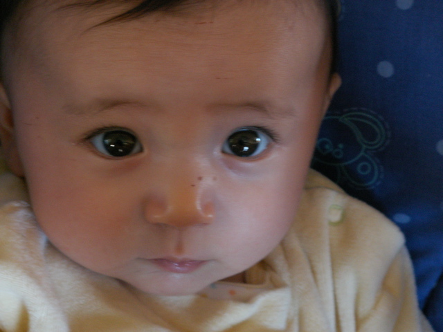 PICT0074.JPG