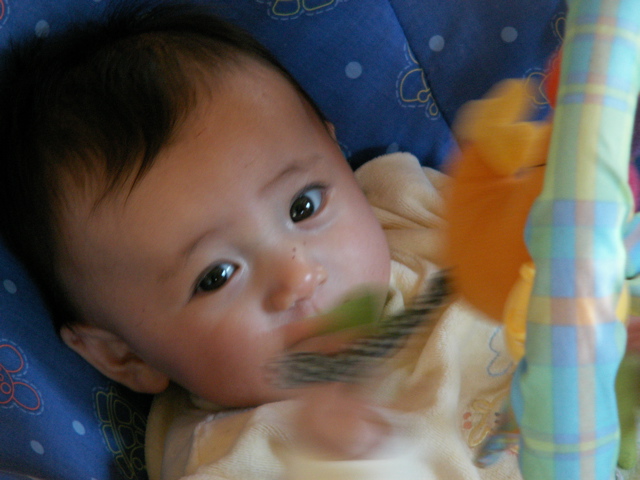 PICT0078.JPG