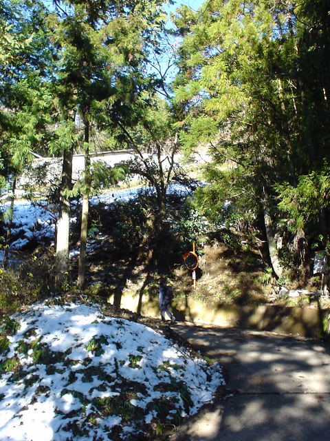 dsc00721