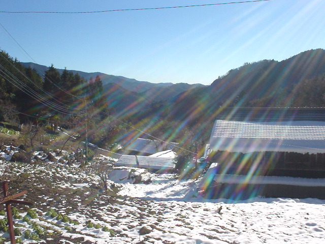 dsc00724