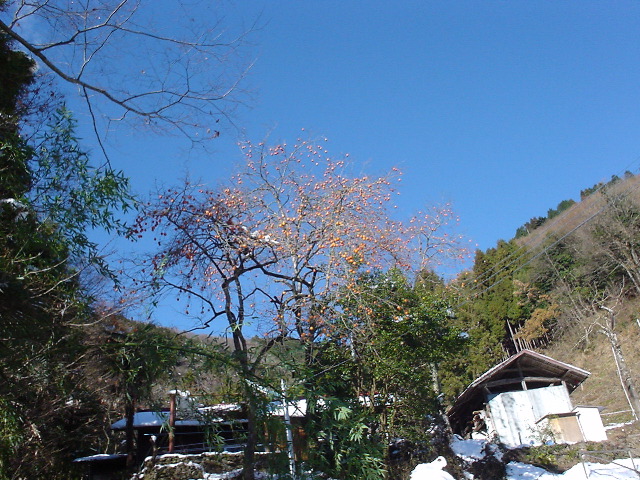 dsc00725