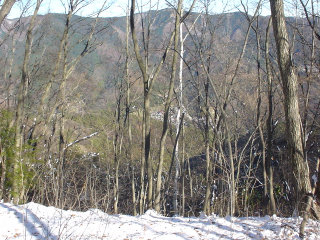 dsc00729