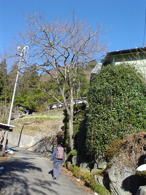 dsc00718