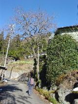 dsc00718