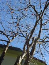 dsc00719