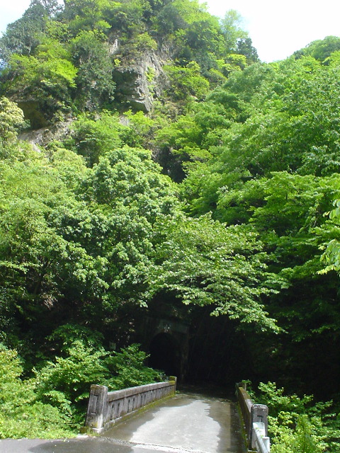 DSC03870