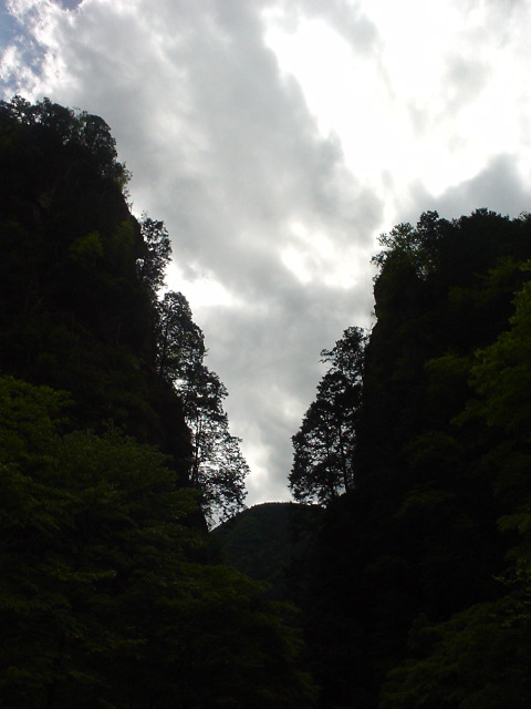 DSC03873