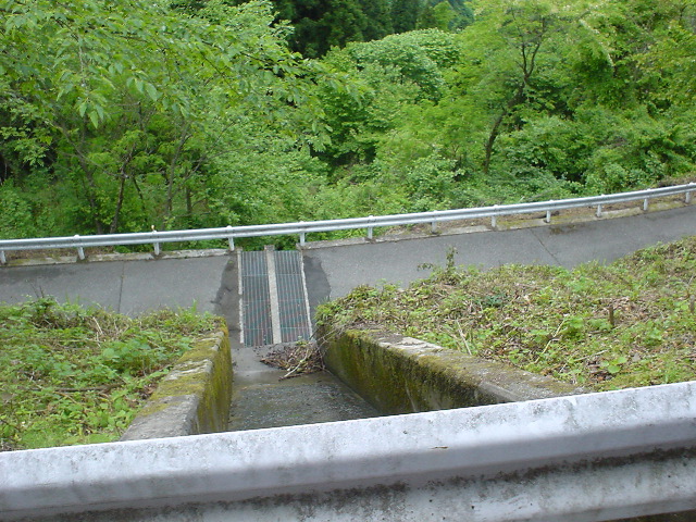 DSC03878
