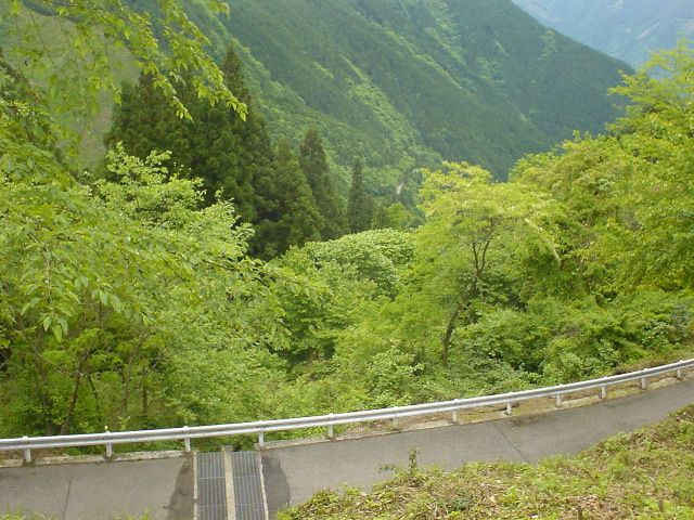 DSC03879