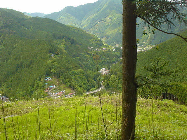 DSC03882