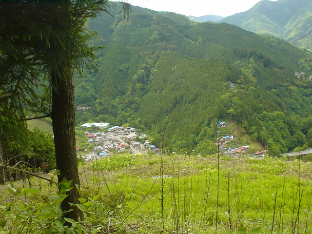 DSC03883