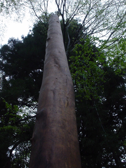 DSC03702