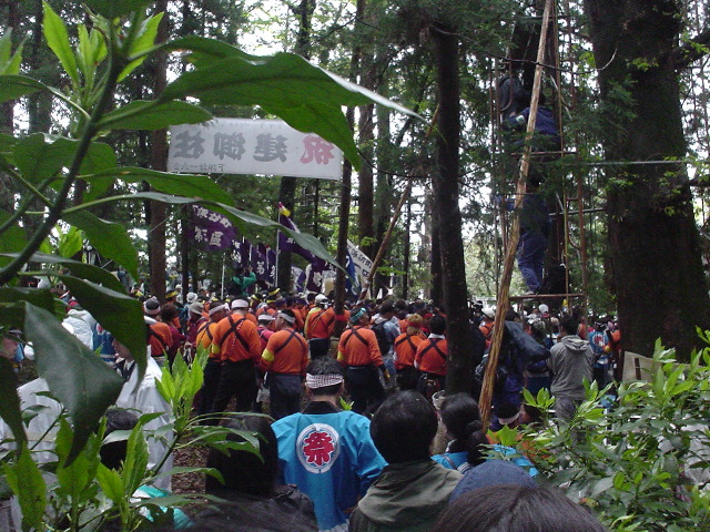 DSC03706