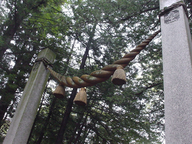 DSC03728
