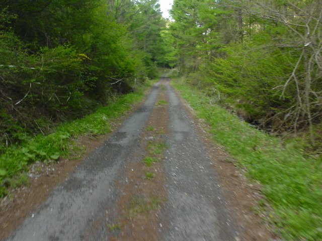 DSC03800