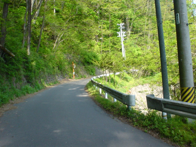 DSC03778