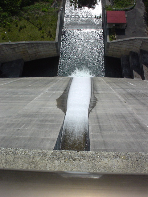 DSC03781